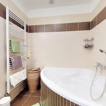 贝拉街中央公寓 公寓 布拉迪斯拉发